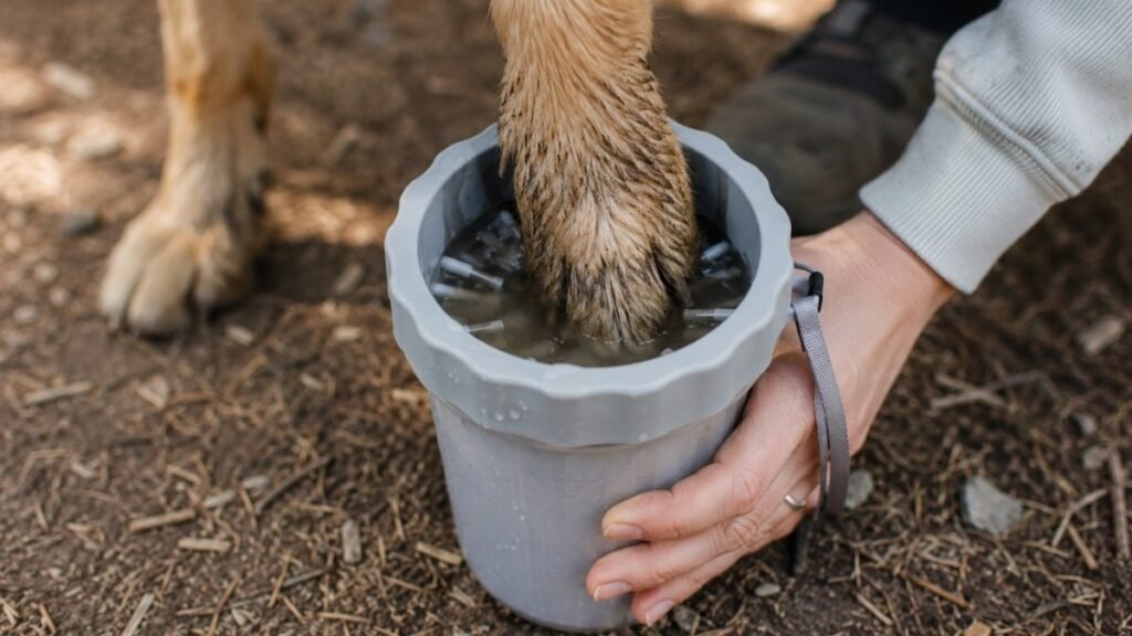 Muddy dog paw being cleaned in a portable paw cleaner cup at a campsite showing how the Mudbuster solves the mud problem when camping with dogs